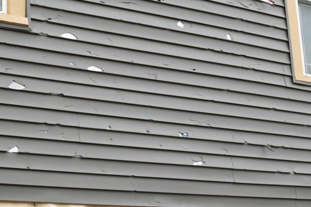 Best Siding Removal and Disposal  in Las Vegas, NM